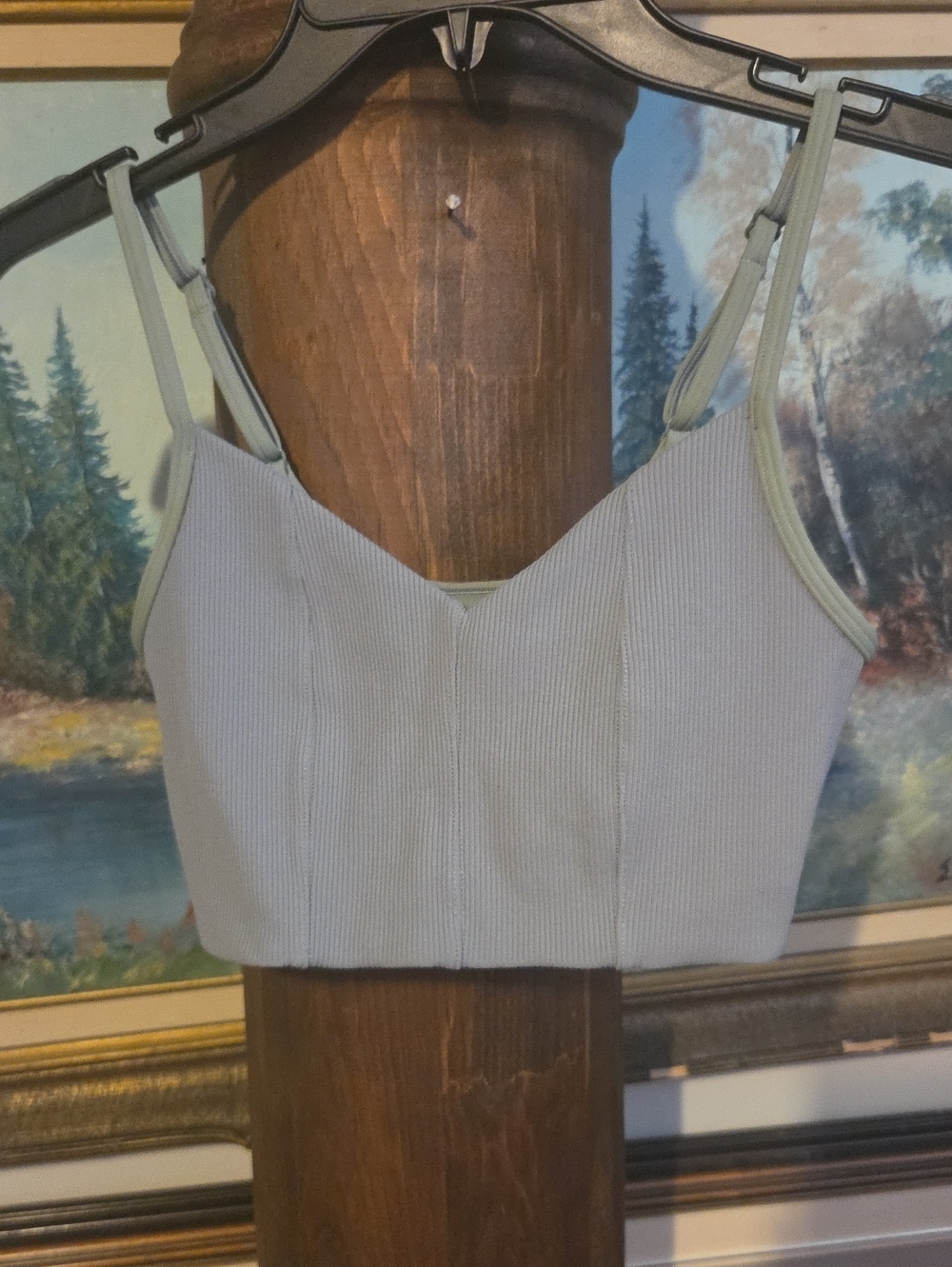 aerie Ribbed Cropped Cami in Sage Green